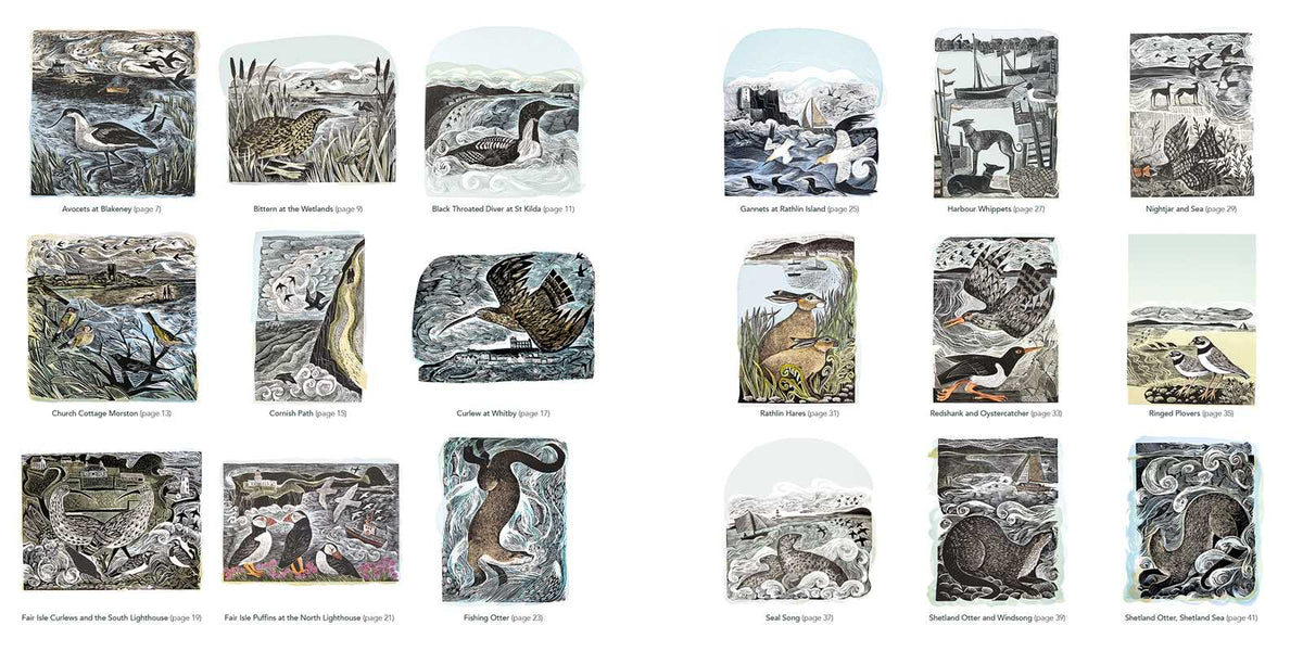 Countryside (Angela Harding) Colouring Book