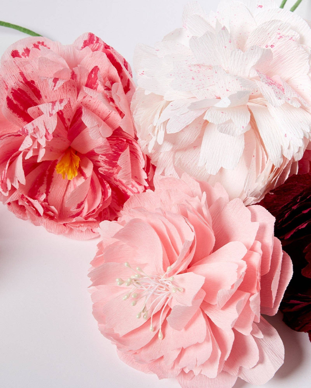 Paper Flower Making Craft - DIY Adult Craft Kit