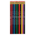 Prismacolor Col-Erase 12 color pencil set