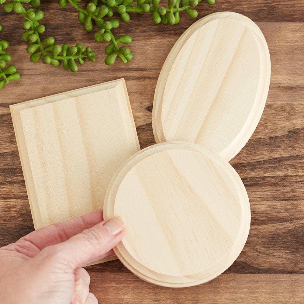 Bag of 3 Assorted Shape Unfinished Wood Plaques