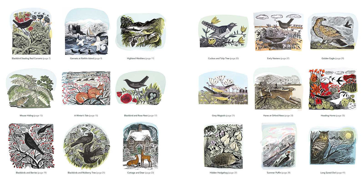 Wildlife (Angela Harding) Colouring Book
