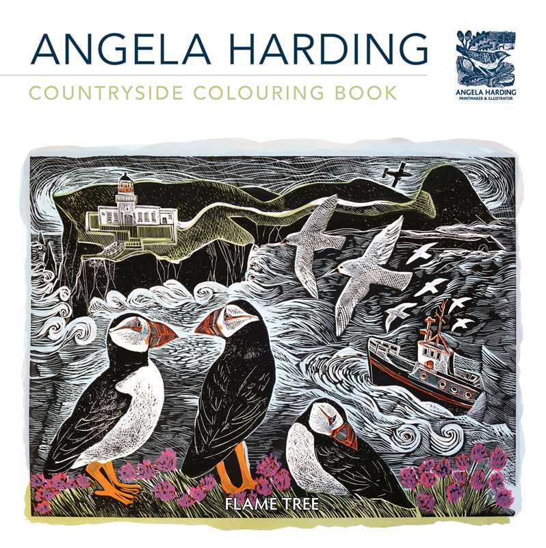 Countryside (Angela Harding) Colouring Book