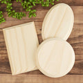 Bag of 3 Assorted Shape Unfinished Wood Plaques