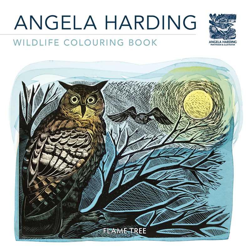 Wildlife (Angela Harding) Colouring Book